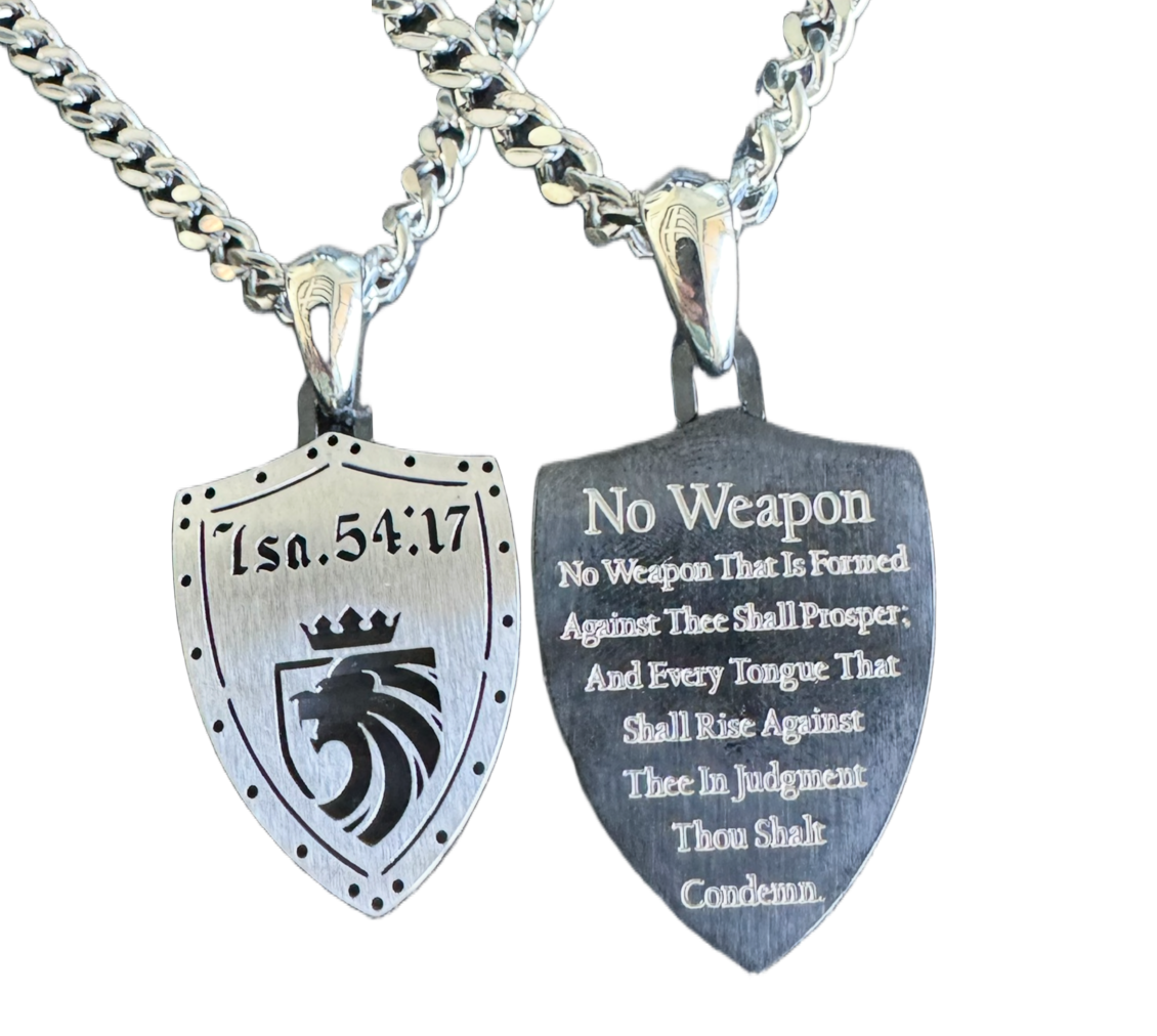 1611 No Weapon Shield