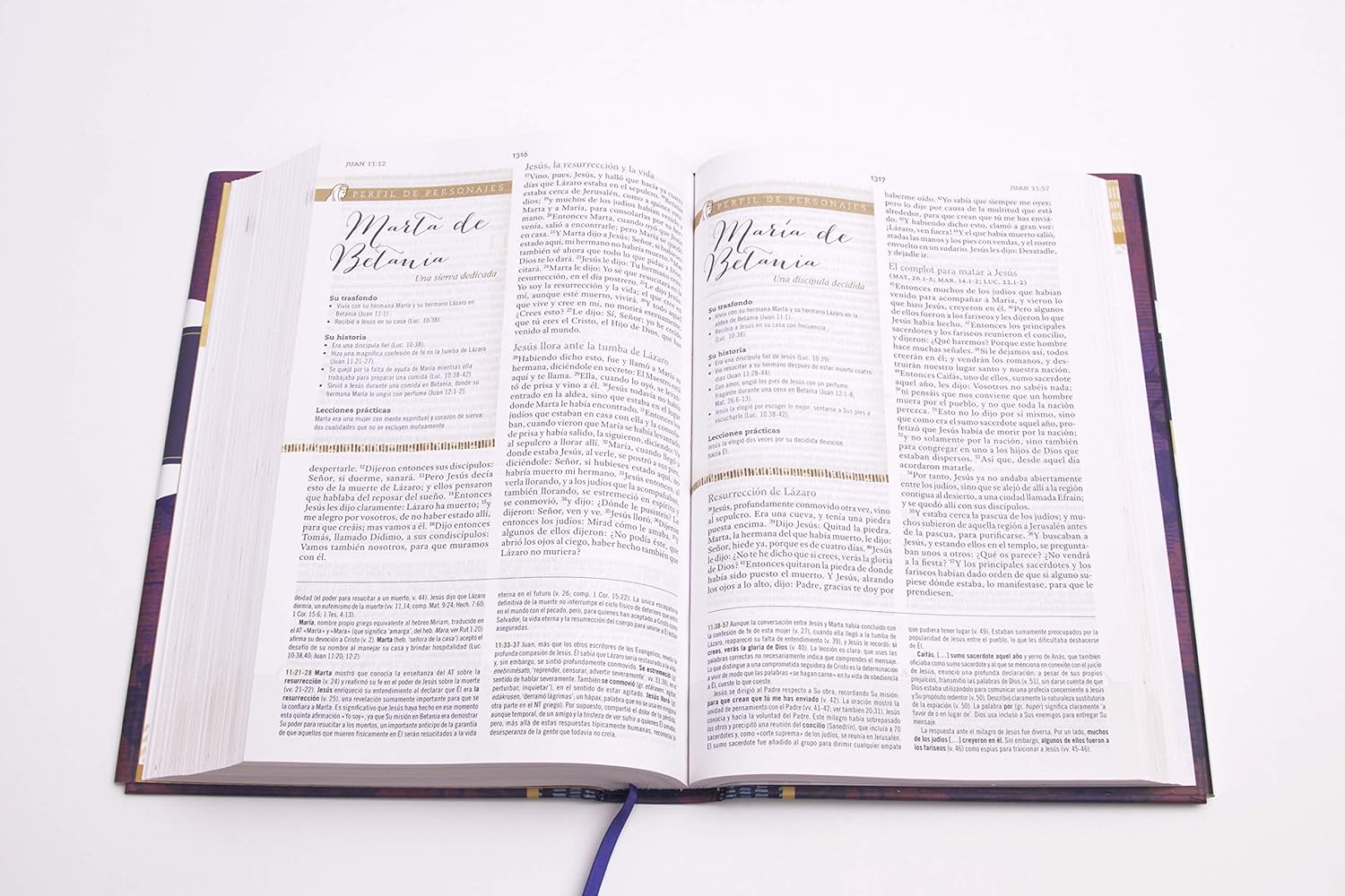 Biblia Reina Valera 1960 de Estudio para Mujeres, Tapa dura | RVR 1960 Women's Study Bible, Hardcover Spanish  Hardcover