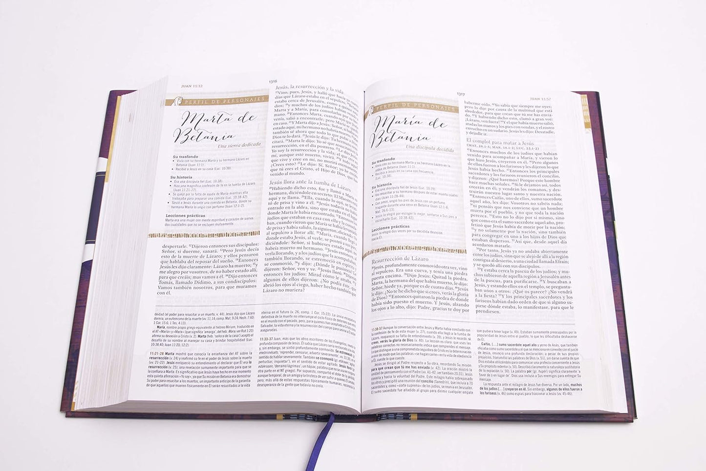 Biblia Reina Valera 1960 de Estudio para Mujeres, Tapa dura | RVR 1960 Women's Study Bible, Hardcover Spanish  Hardcover