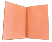 1611 King James Bible - Tan