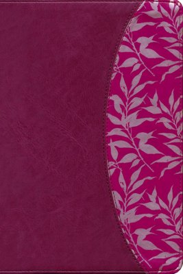 RVR 1960 Women Study Bible Burgundy/Fuschia IDX