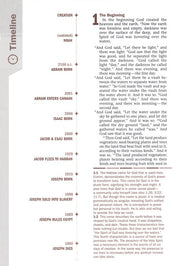 NIV Every Man's Bible, Large-Print; Imitation leather, Black & Brown
