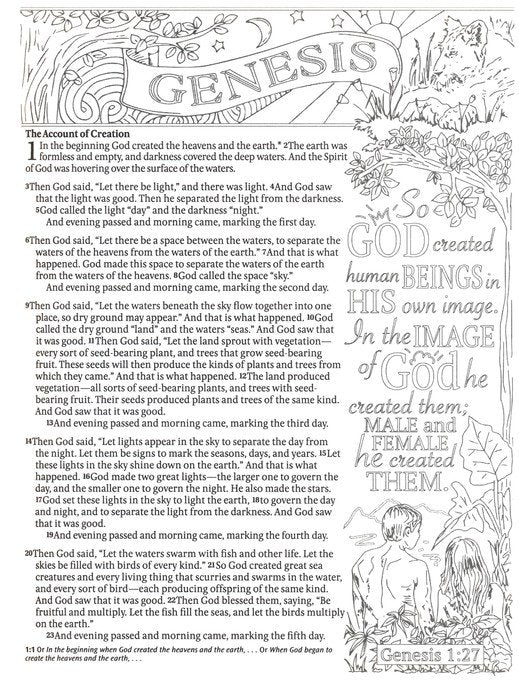 NLT Inspire Praise Bible: The Bible for Coloring & Creative Journaling--softcover, purple