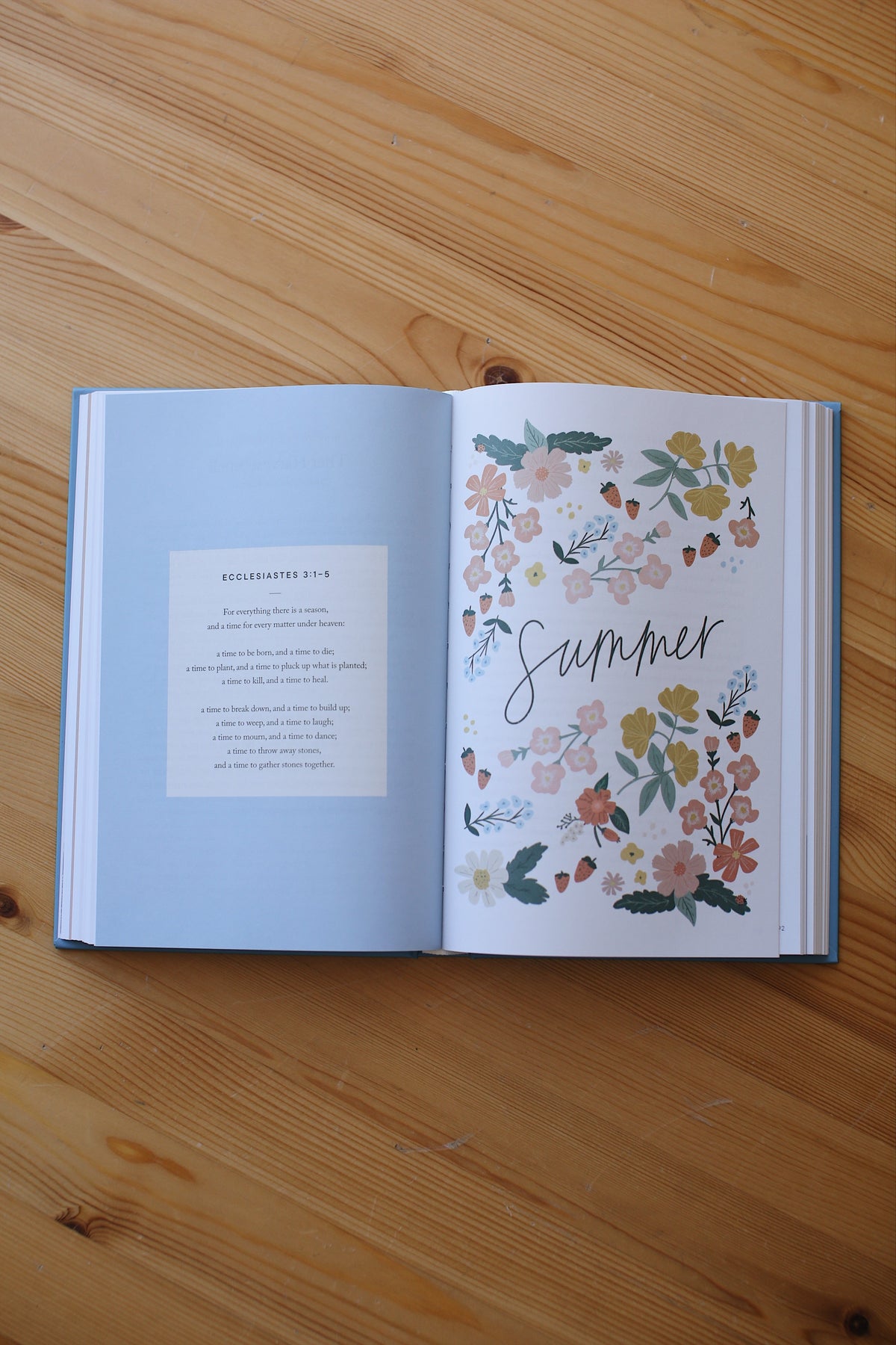 Seasons: A Year with Blessed Is She — 365 Daily Catholic Devotional