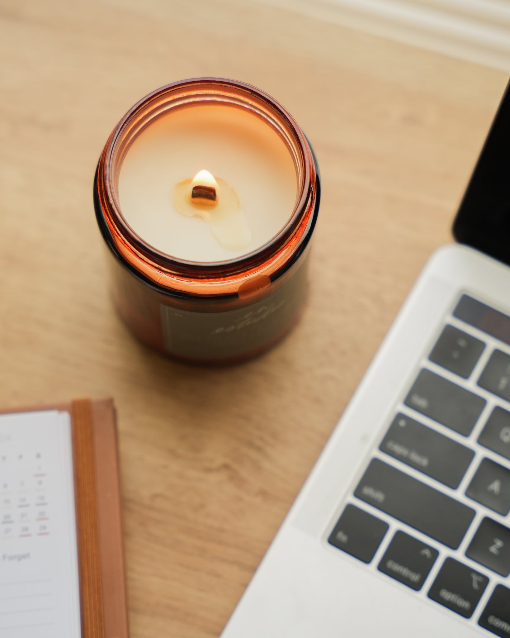 Study Time Candle Inspired by St. Thomas Aquinas Soy Candle