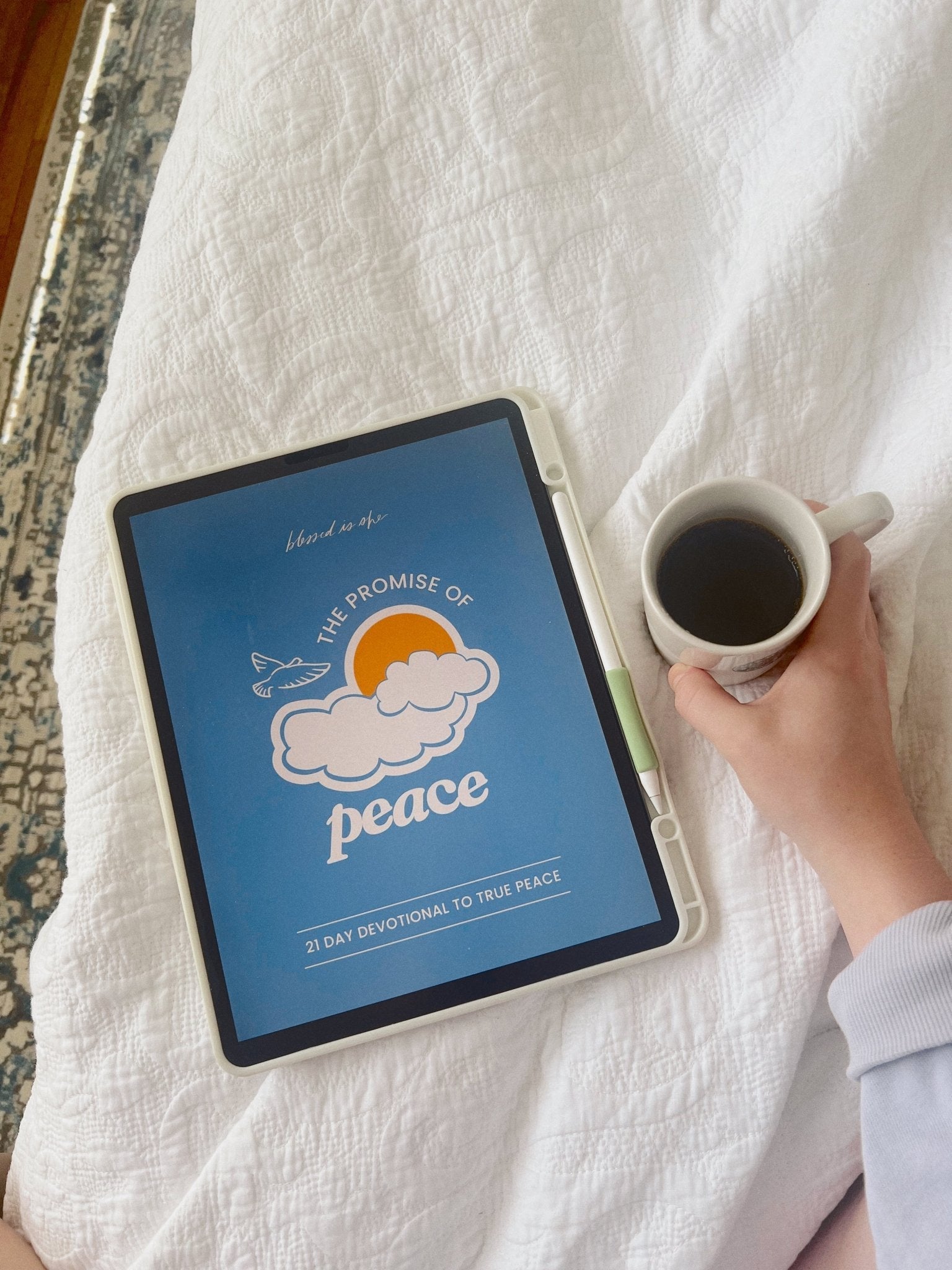 The Promise of Peace eBook